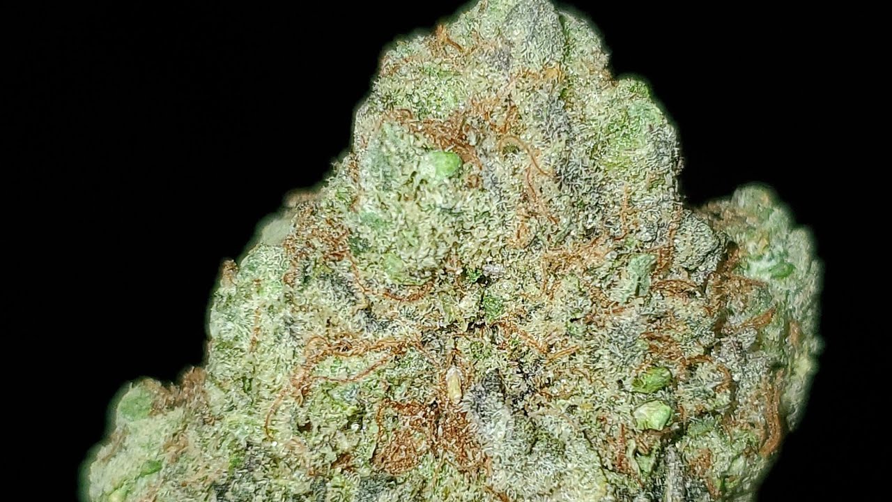 BIRTHDAY CAKE STRAIN WAKE AND BAKE STYLE