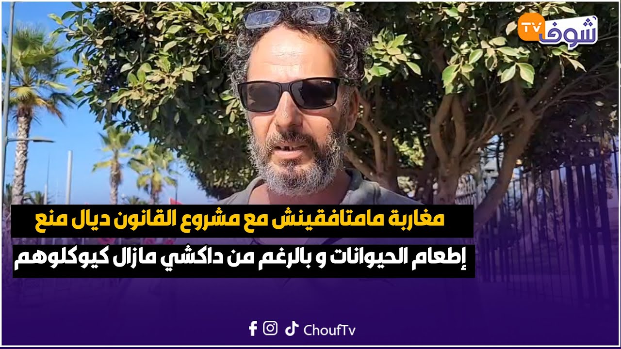 من كازا:مغاربة مامتافقينش مع مشروع القانون ديال منع إطعام الحيوانات و بالرغم من داكشي مازال كيوكلوهم