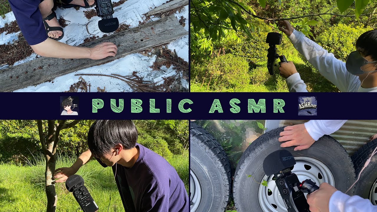 Публичный ASMR с seven ASMR в NO'N'IGHT FOREST.