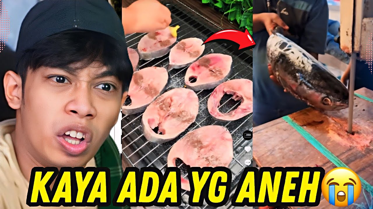 RESEP DEBM MASAK TONGKOL ‼️