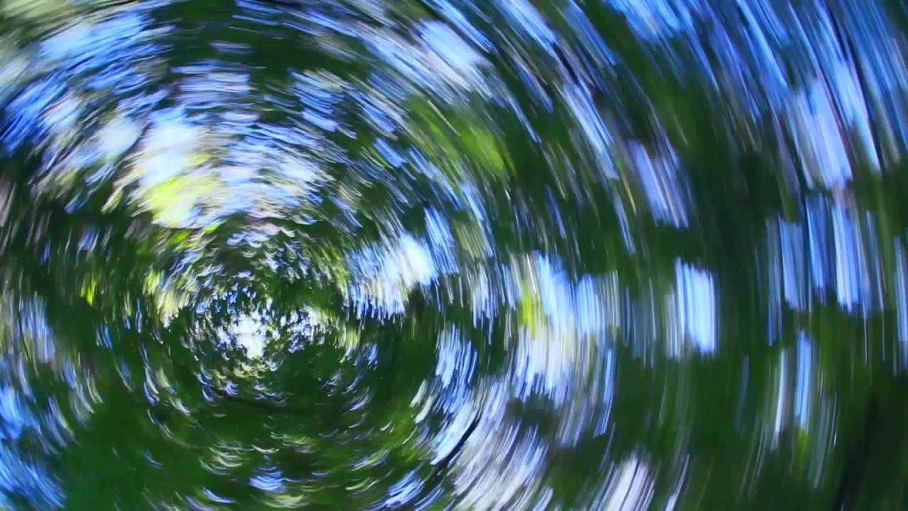Trippy Trees