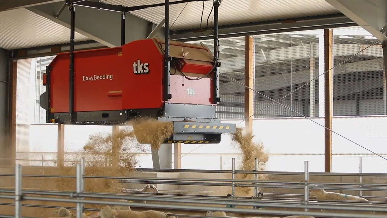OVINO Sheep Farm Success Story
