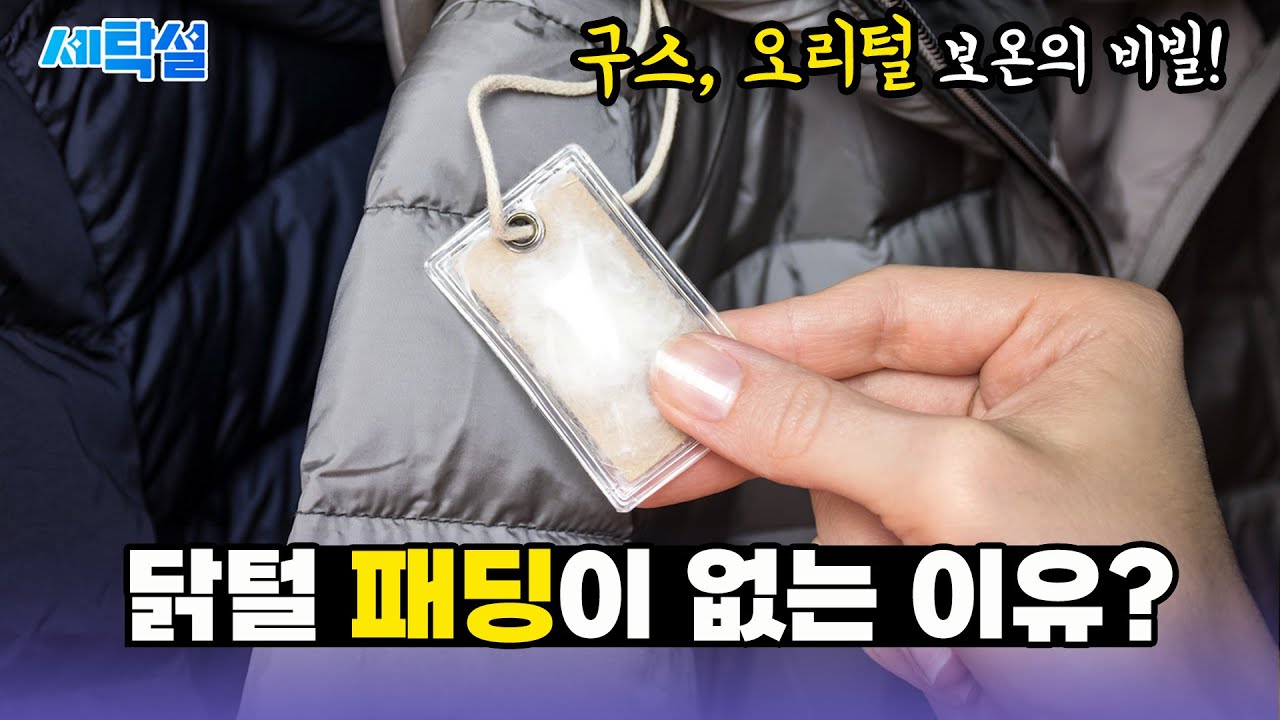 패딩 충전재 🦆 구스, 오리털 쓸 수 밖에 없는 이유? 패딩 보온 좌우하는 진짜 비밀!