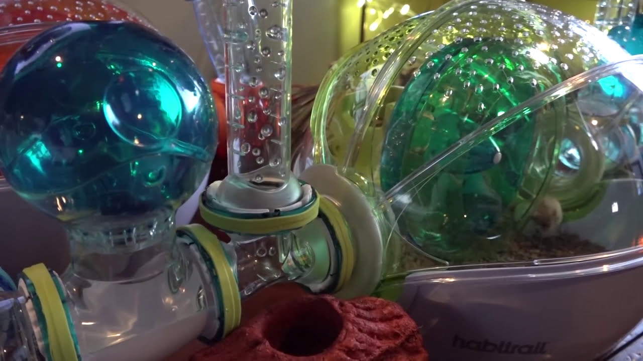 Hamster Village  Review Many Cages Connected Together for hamsters or small pet habitats square inch