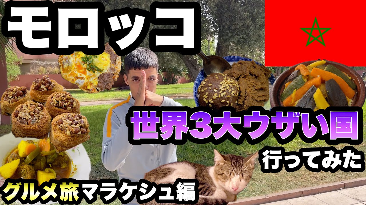 【モロッコ】マラケシュの夜市で屋台食べ歩き/ 猫とタジンとサボテン/ モロッコ一周スタート/アフリカグルメ