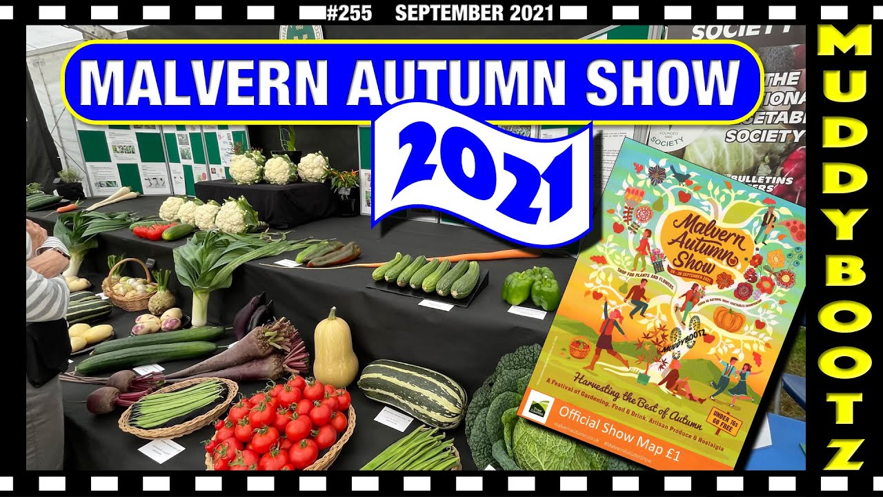 🌻255 🌻 2021 MALVERN AUTUMN SHOW 🌻
