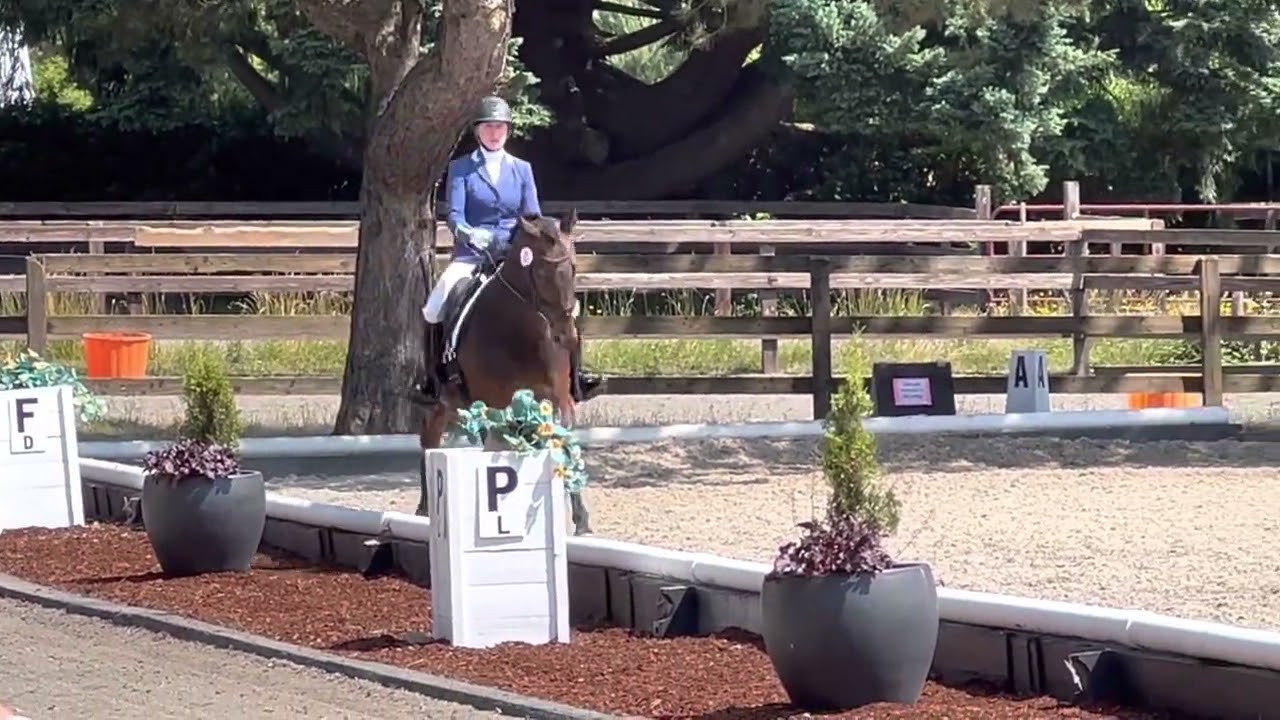 Donida Summer Show June 2023 - Second Level Test 3, 68%