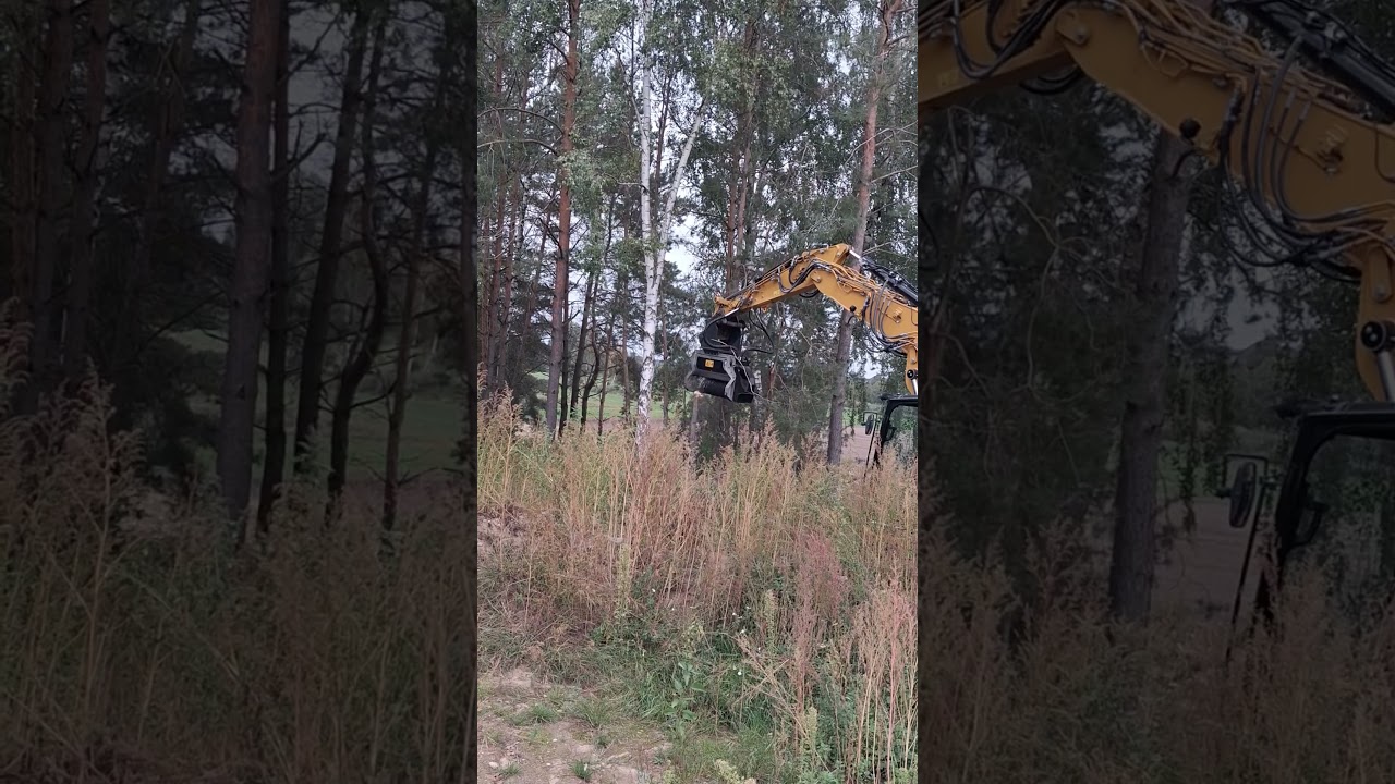 Mulczer FAE BL2 z chwytakiem hydraulicznym