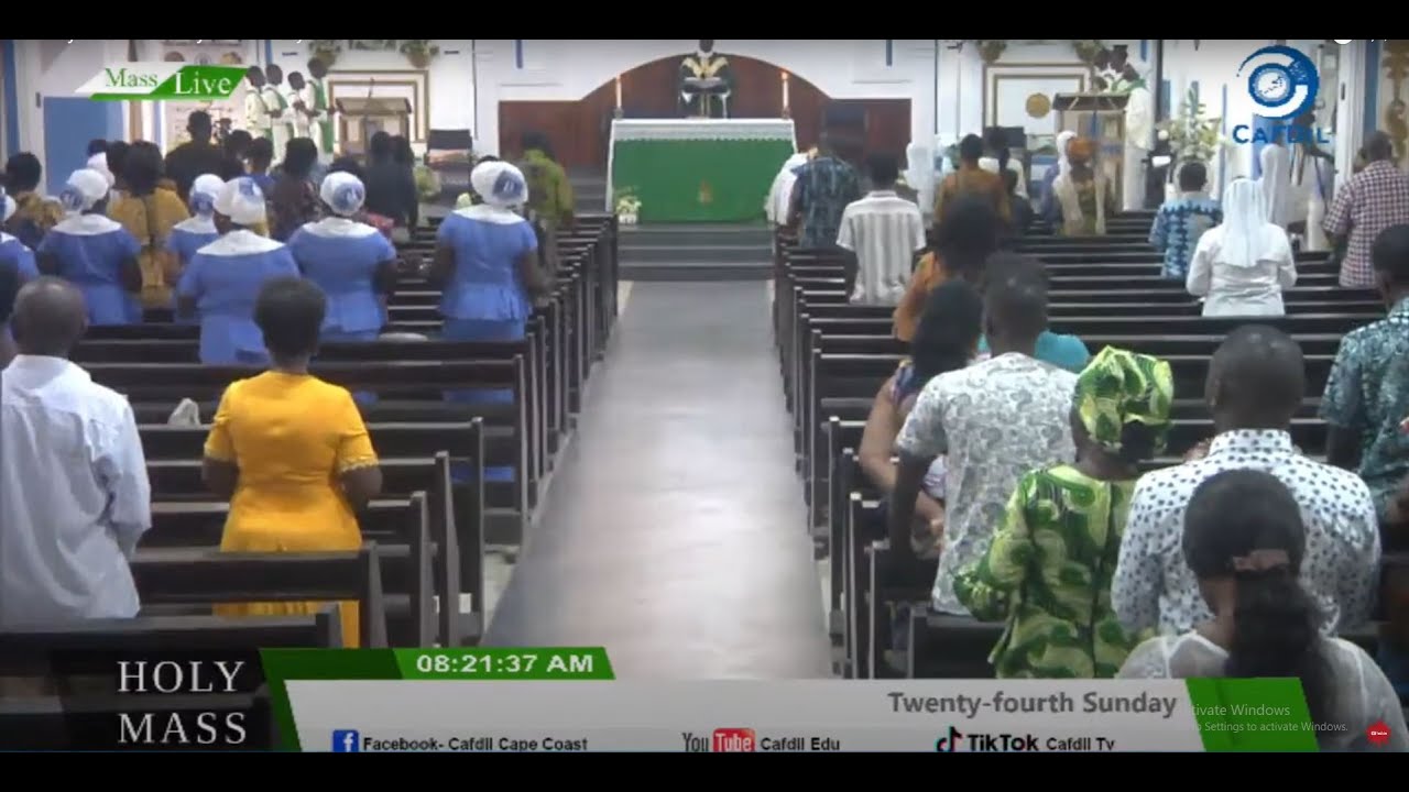 HOLY MASS:  Eighth Sunday in Ordinary Time
