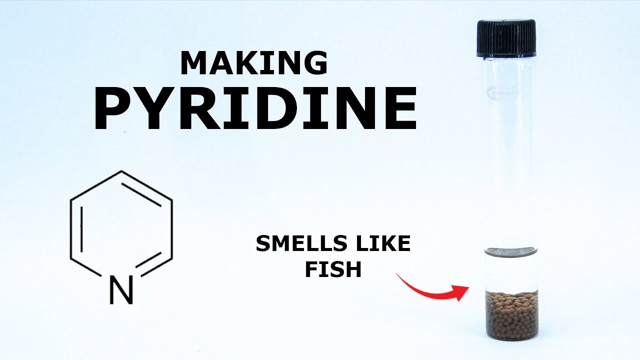 Making the Essence of Fish from Vitamin B3 - Pyridine