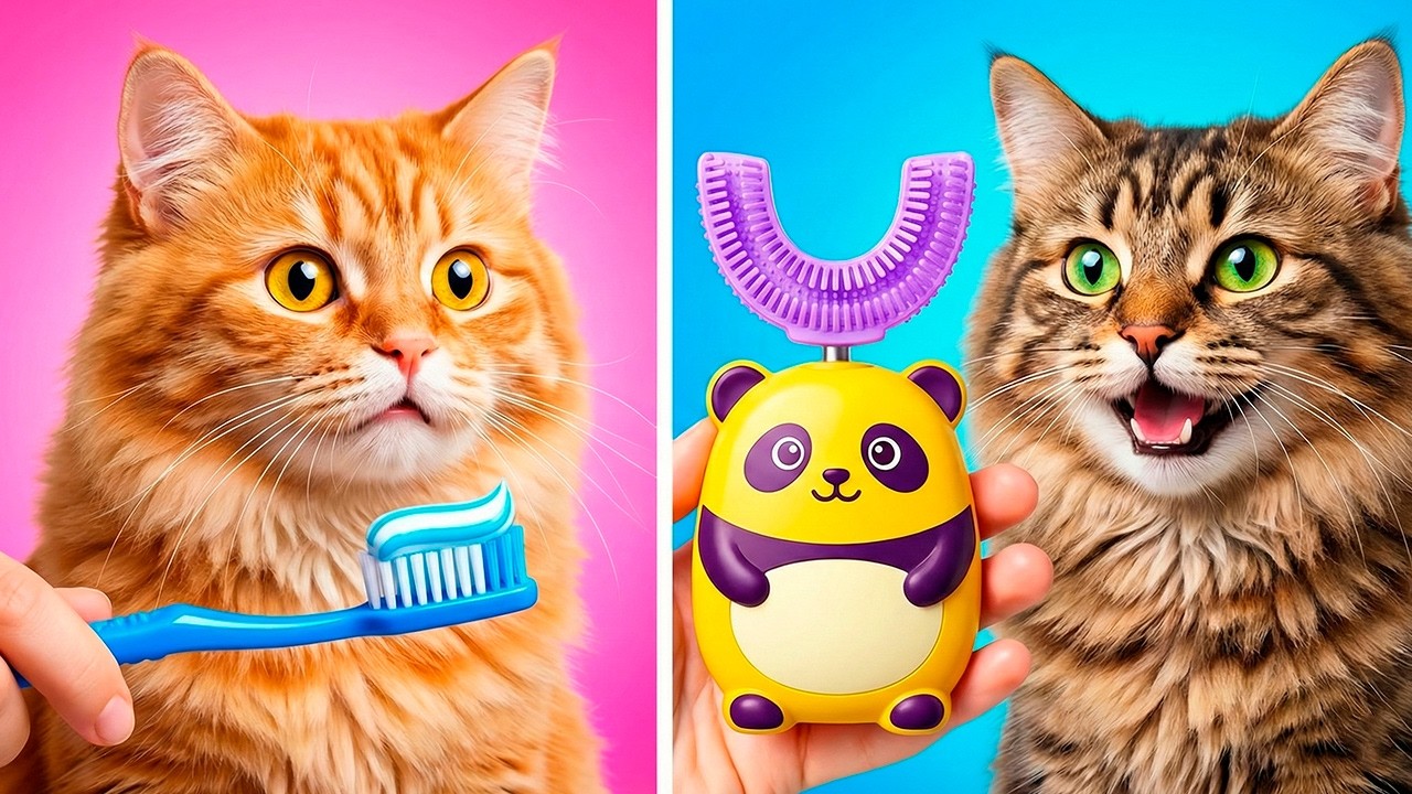 Discover a Simple Trick to Stop Your Meow's Barking! 🎤 Best Hacks to Make Your Pets Happy! 🥰🫶🏻