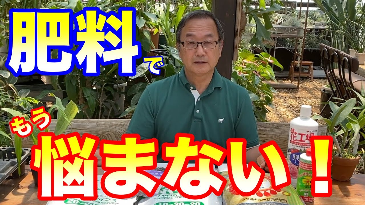 【洋蘭】肥料は〇〇◯に決まり！肥料の基本からホームセンターでも買えるおススメ肥料をご紹介！安くて効果的な肥料はこれだ