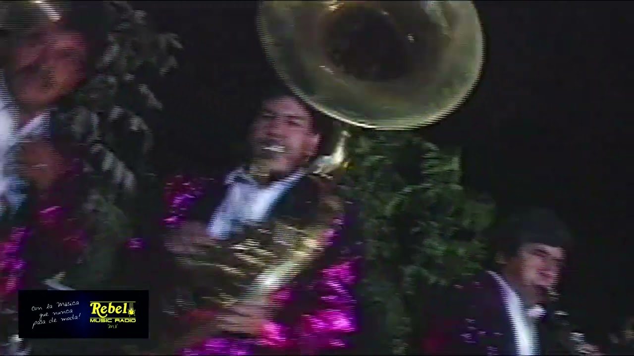 BANDA HERMANOS PADILLA - BAILE NUEVO (Video Oficial)