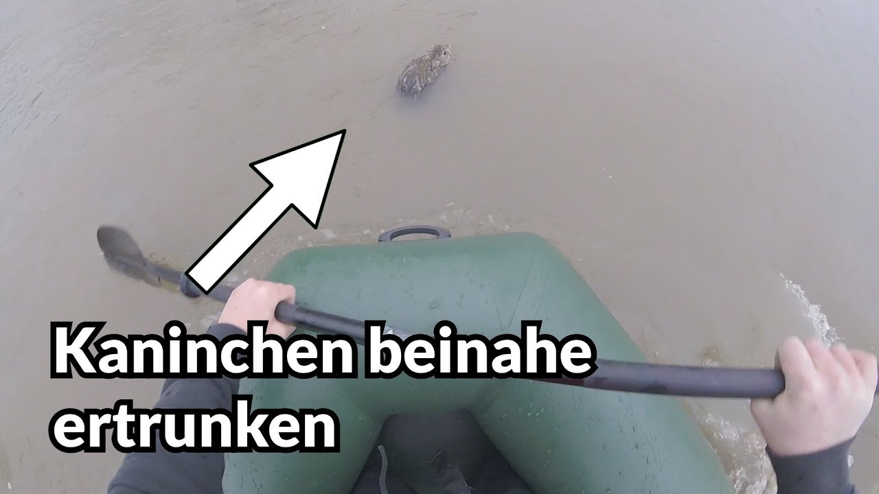 Rettung vor dem Hochwasser - Tiernotruf #133
