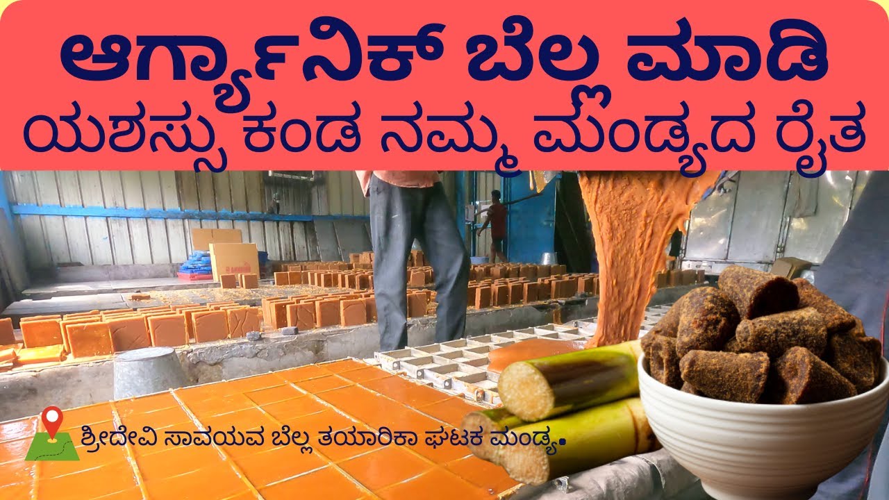 ಬರೀ ಕಬ್ಬು ಬೆಳೆಯುವುದಲ್ಲಾ,ಬೆಲ್ಲ ಮಾಡೋದು ಗೊತ್ತಿರಬೇಕು..!! ಸಾವಯವ ಕಬ್ಬು ಕೃಷಿ ಮತ್ತು ಆಲೆಮನೆ|Organic Jaggery.