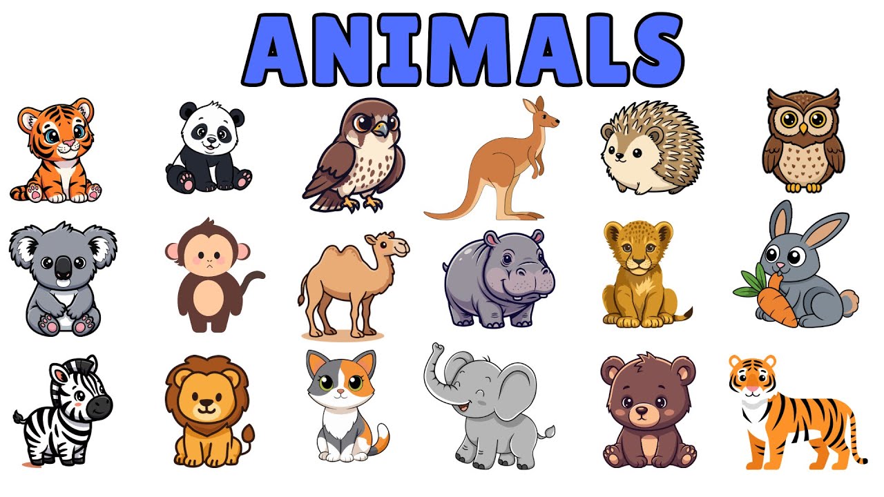 20 Animals Names for Kids | Animals Names for baby