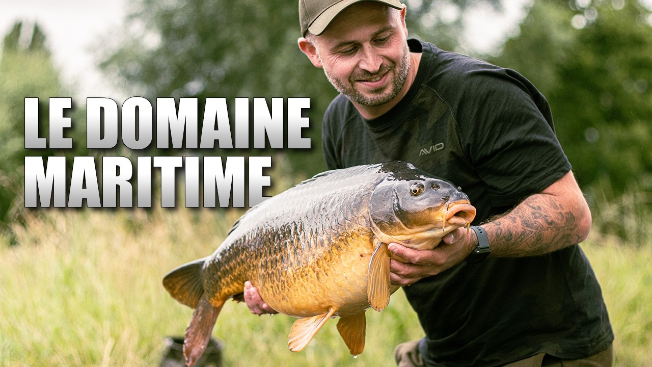 PÊCHE DANS LE DOMAINE MARITIME - Carpes en rivière avec Christopher