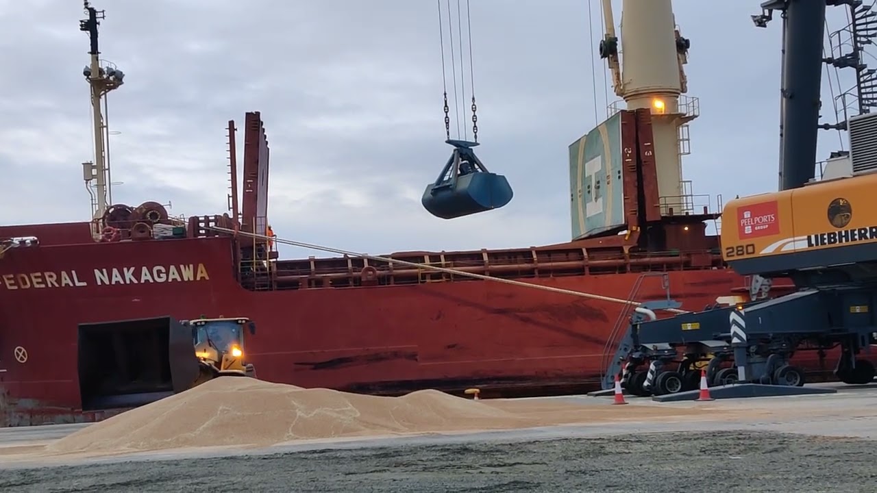 loading bulk carrier vessal Federal Nakagawa with wheat at Great Yarmouth port with Liebherr crane