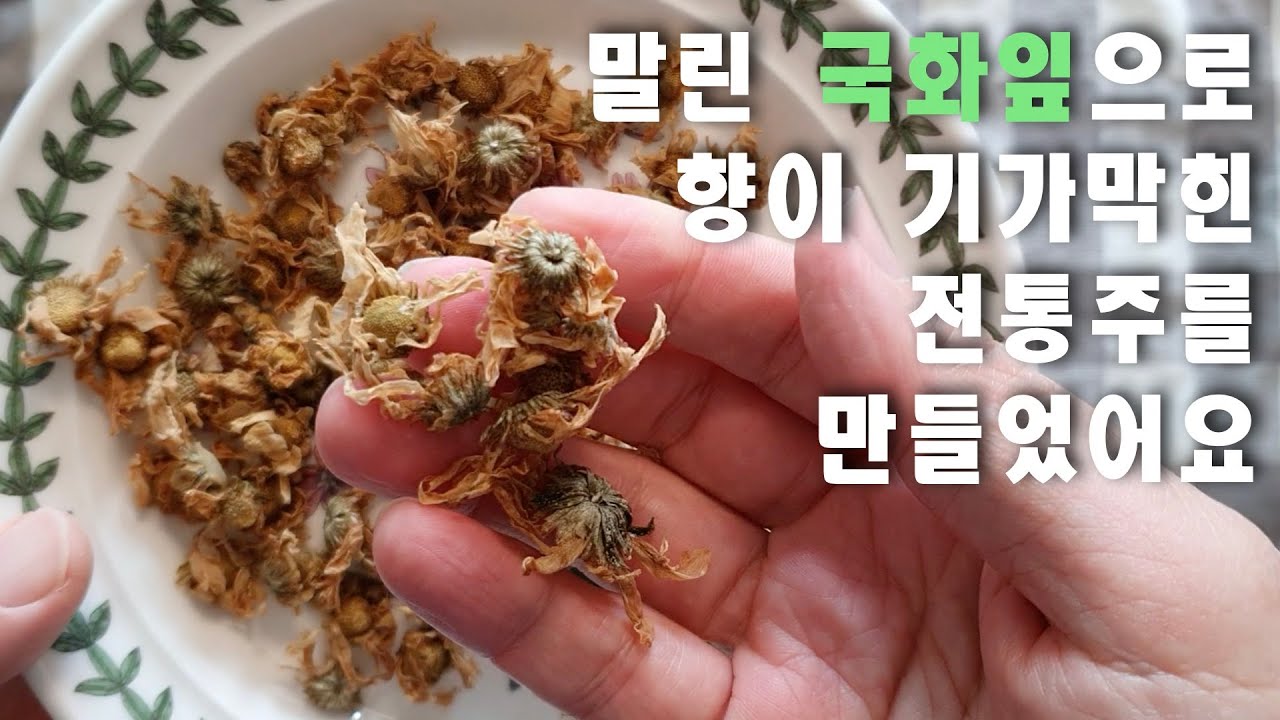 [삼양주 만들기] 국화가 들어가 향과 맛이 한층 깊어진 전통 국화주