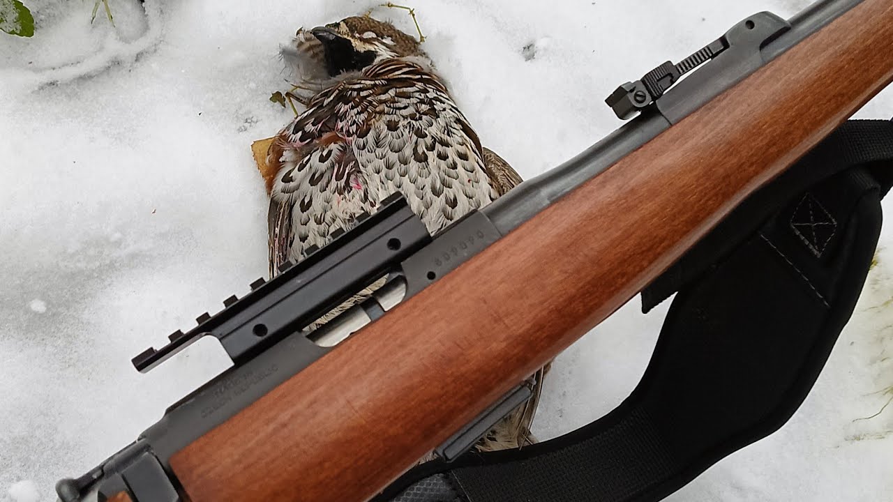 CZ 452  2E zkm малокалиберный карабин (мелкашка) 22 LR