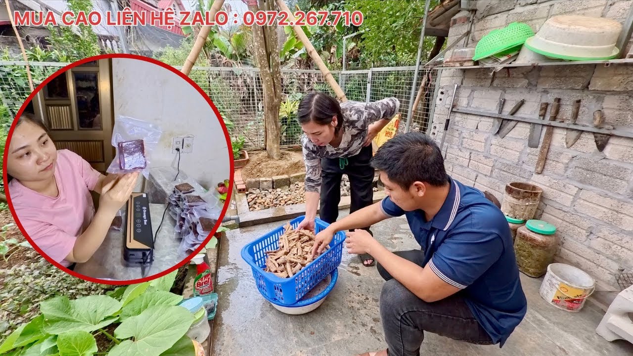 Nồi Cao Ban Long Đầu Ti&ecirc;n Đ&atilde; Ra L&ograve; | Cao Ban Long C&oacute; T&aacute;c Dụng G&igrave; ? | HUY ANH TV
