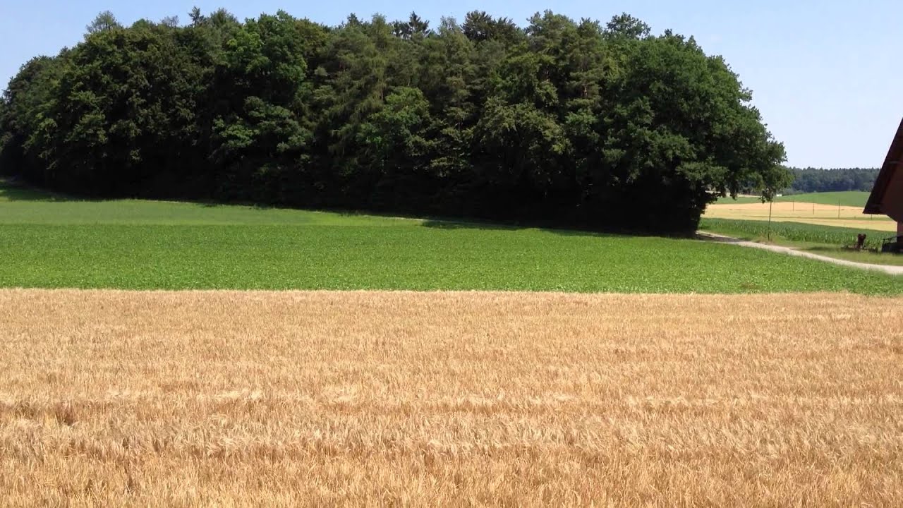 Deutz-Fahr M1080