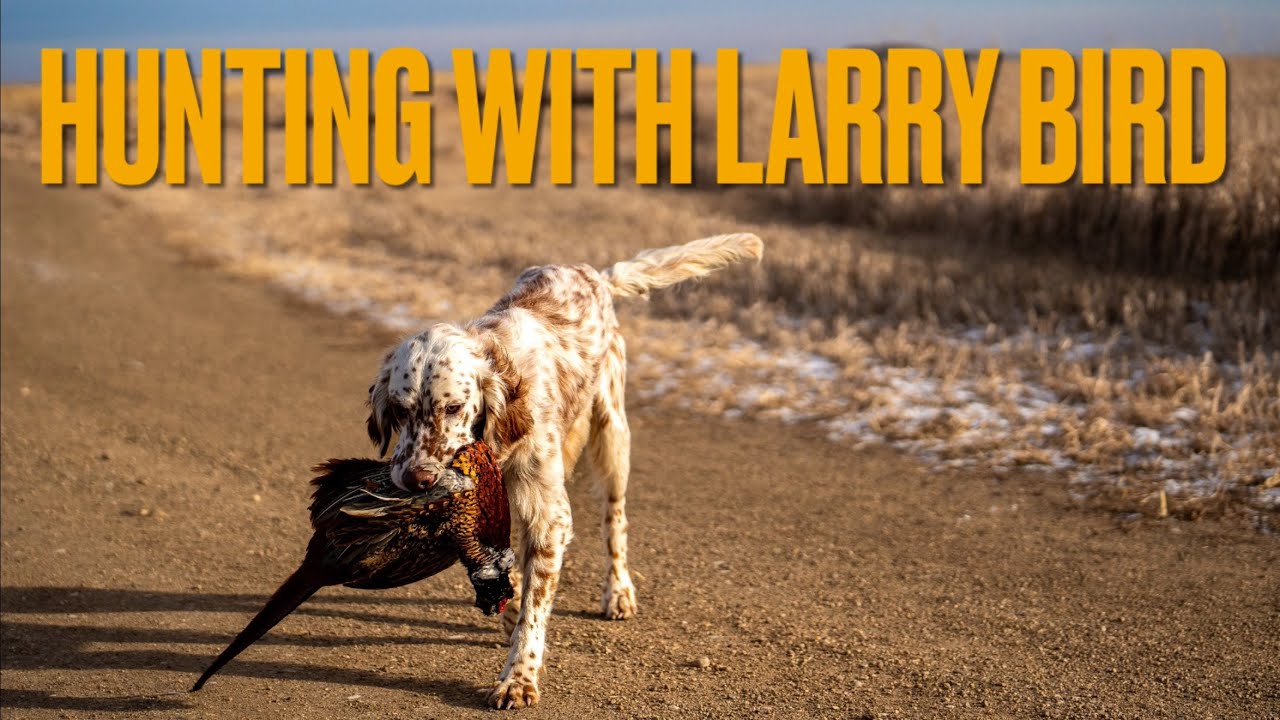 South Dakota Pheasants In January | Day 2: Hunting With Larry Bird