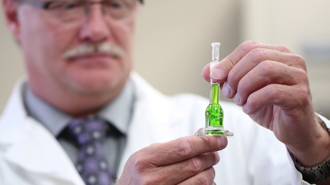 Pot Wars: Aurora Cannabis in hostile takeover of CanniMed Therapeutics