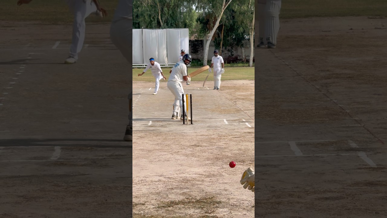 Double Swing Ball #hardball #hardballmatch #cricket #fastbowling #swingbowling
