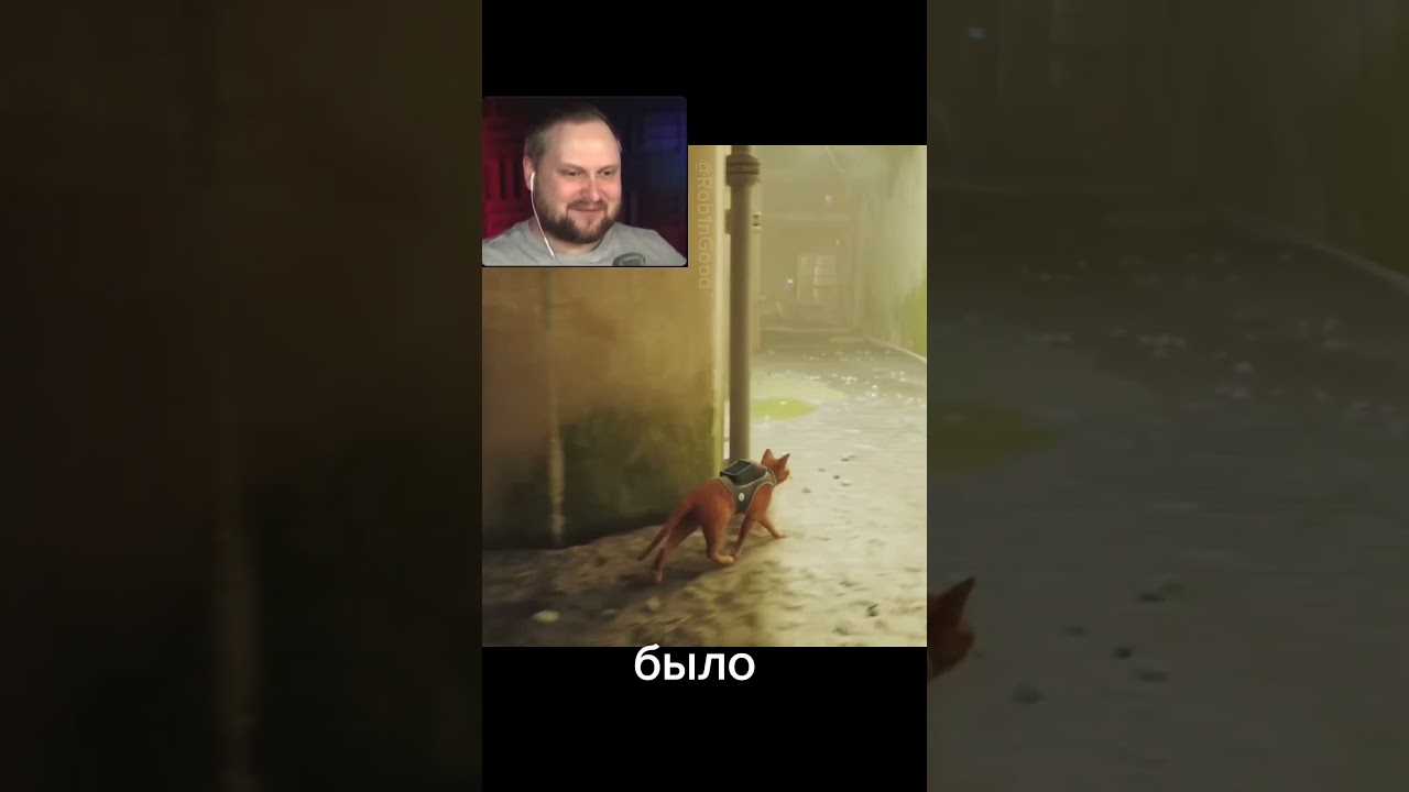 Куплинов играет в Stray.