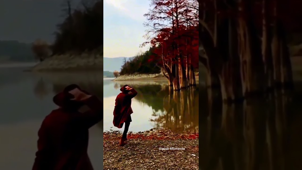 Wenn die Blätter fallen, beginnt eine neue Stille. 🍂