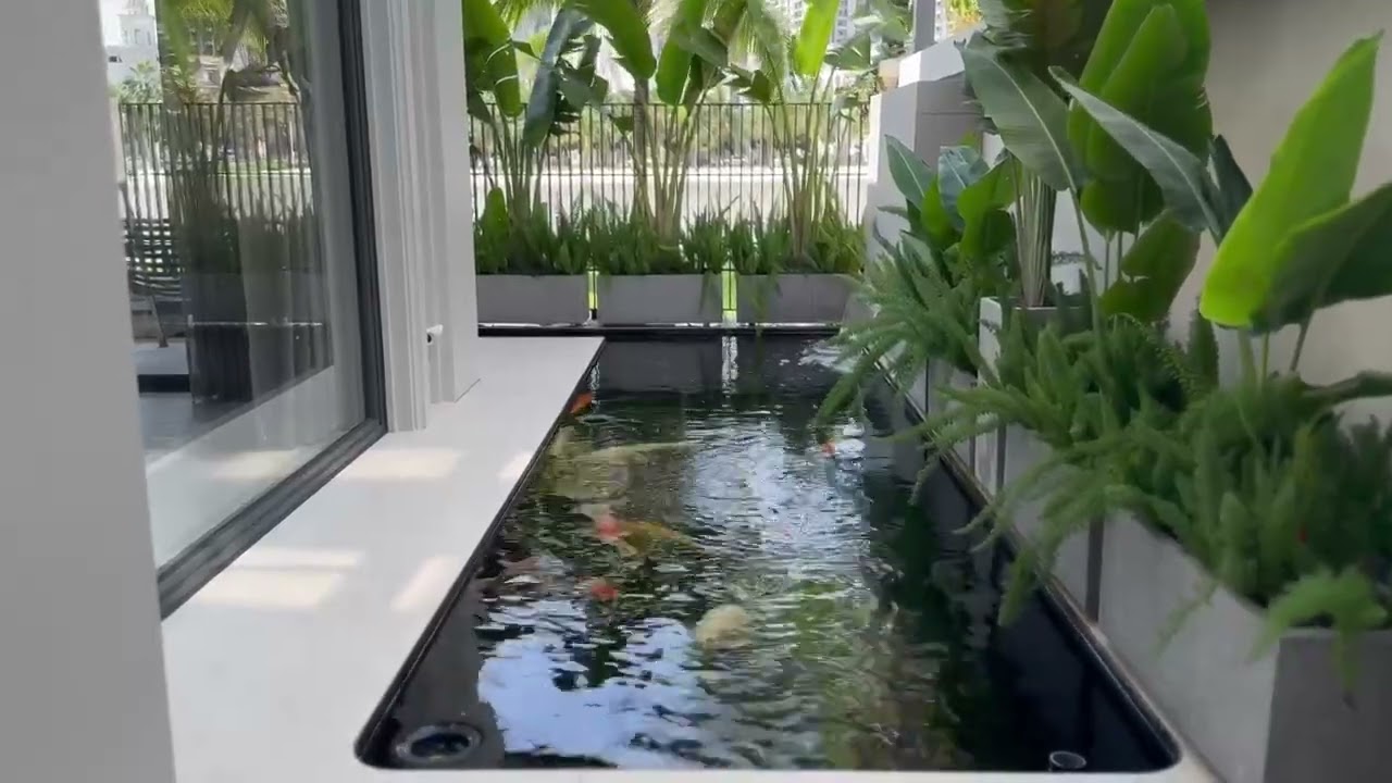 Thiết Kế Hồ Cá Koi Trọn Gói Từ A-Z | Sân Vườn Nhỏ Biến Thành Thiên Đường Cá Koi LH 0942446886