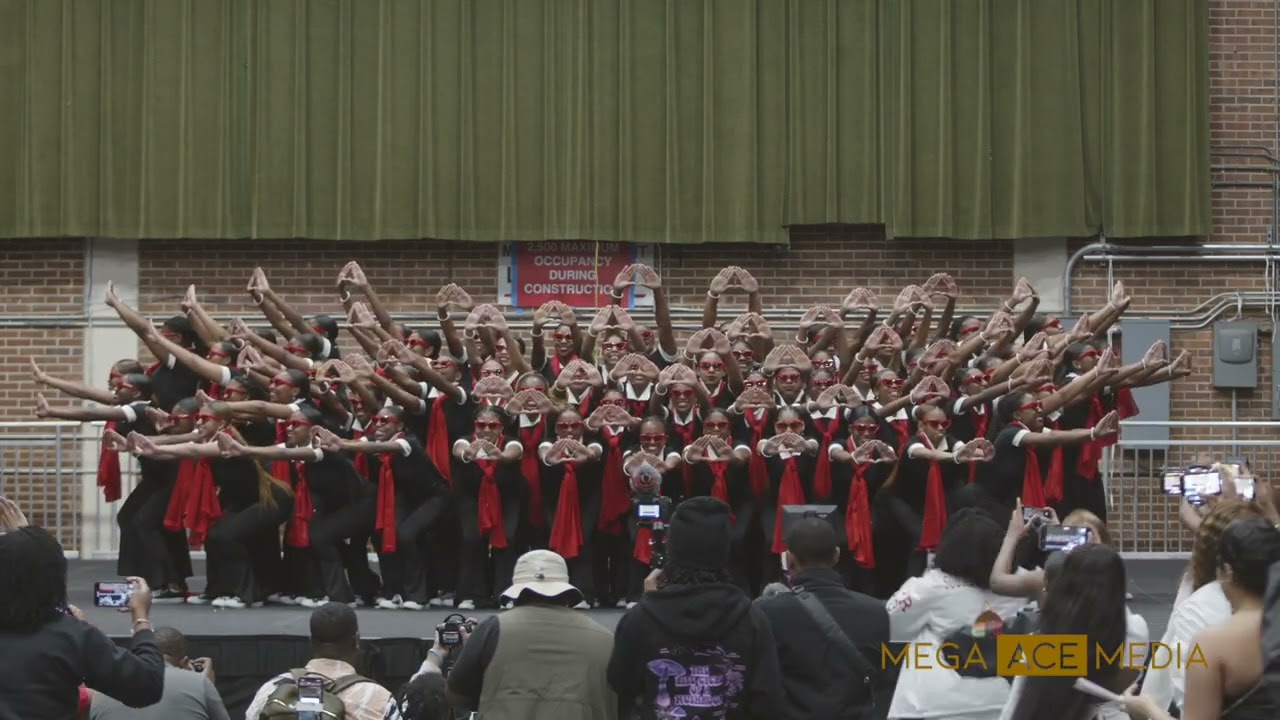 Beta Alpha Chapter of Delta Sigma Theta Spring 2024 Probate   FAMU