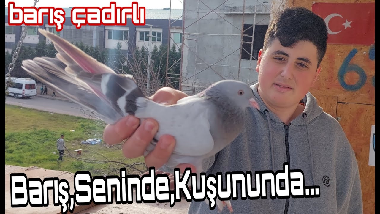 Barış,Seninde,Kuşununda. Barış Çadırlı, Darıca Profesyonel Performans Oyun Kuşu Seyisleri