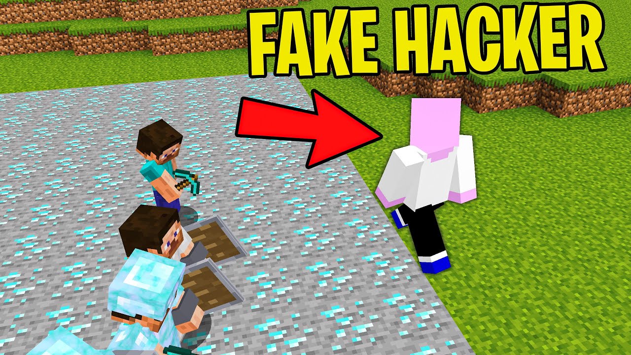 Ich bin ein FAKE OP HACKER auf meinem Server in Minecraft