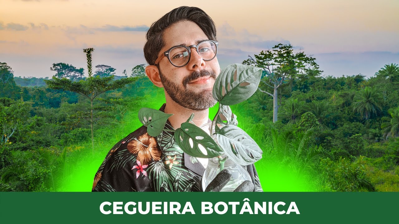 A IMPORTÂNCIA DAS PLANTAS NAS NOSSAS VIDAS.