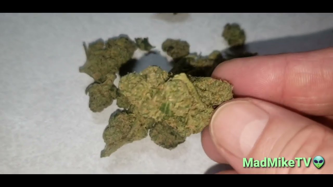 Mad Mike's Dope Show GMO, Iron Alien Mintz, Eagle Scout, Ice Queen From Next Level Eugene 👽 👾 👽
