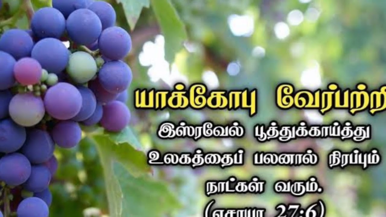 Hope Message Official | Blessed Hope