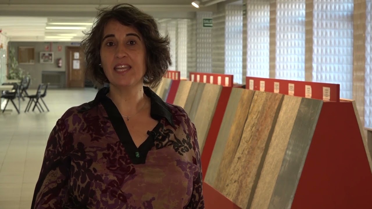 Lola Pereira: Heritage Stones and IGCP-637
