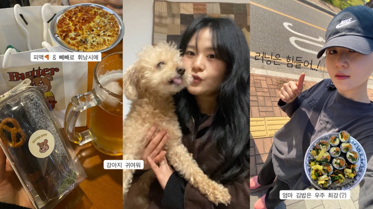 VLOG 잔뜩 먹고 살다가 고작 1km 뛰고 헥헥 거리는 일상 부이로그.. 짱맛있는 빼빼로 휘낭시에, 엄마 김밥 최고, 닌텐도 젤다, 야외 러닝, 피맥 맛있었다~