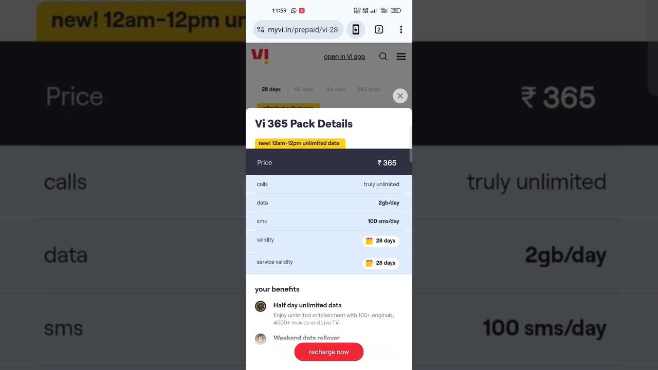 Vi 365 Unlimited Data Plan Details