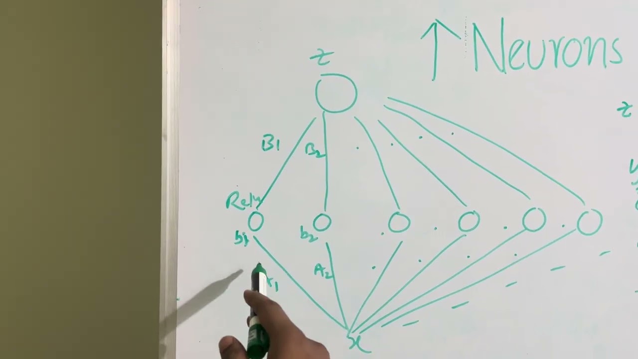 Increasing neuron’s horizontally overfits the data