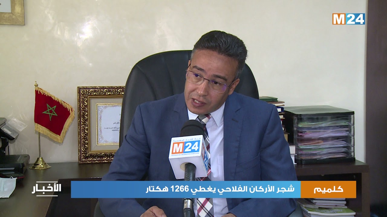 كلميم واد نون .. شجر الأركان الفلاحي يغطي 1266 هكتار