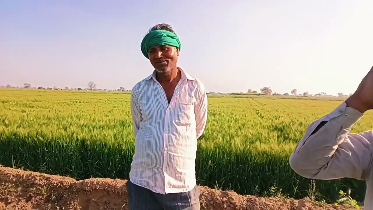 जोआ म आ गयो रोग स्प्रे करन लागरा हा