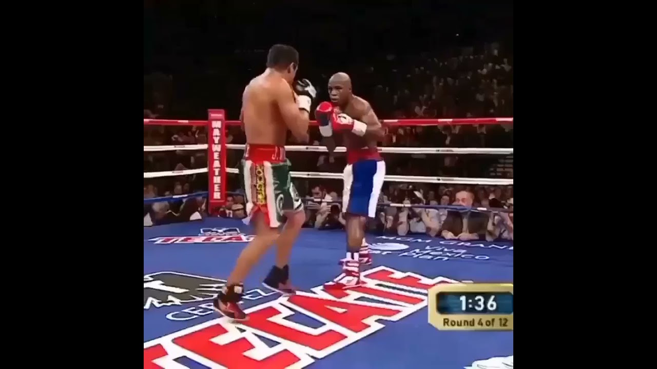 Floyd Mayweather genius and defensive master skills.