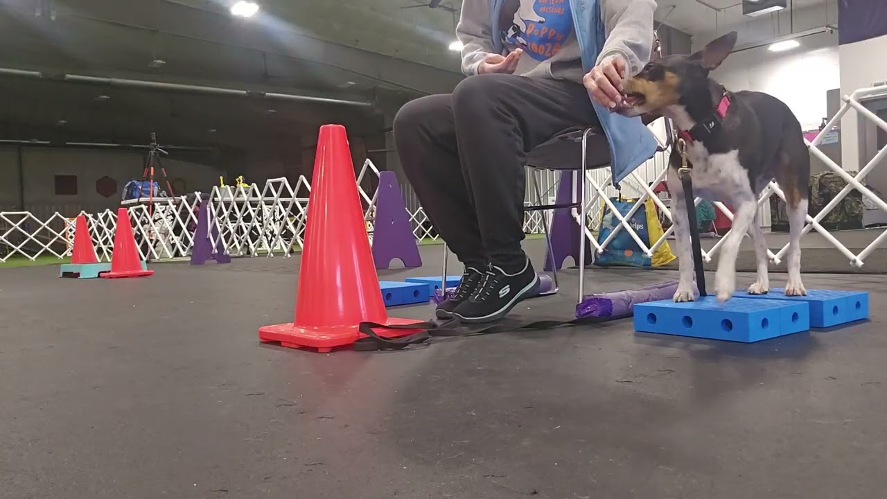 3/12 pilates cone with feet on blocks