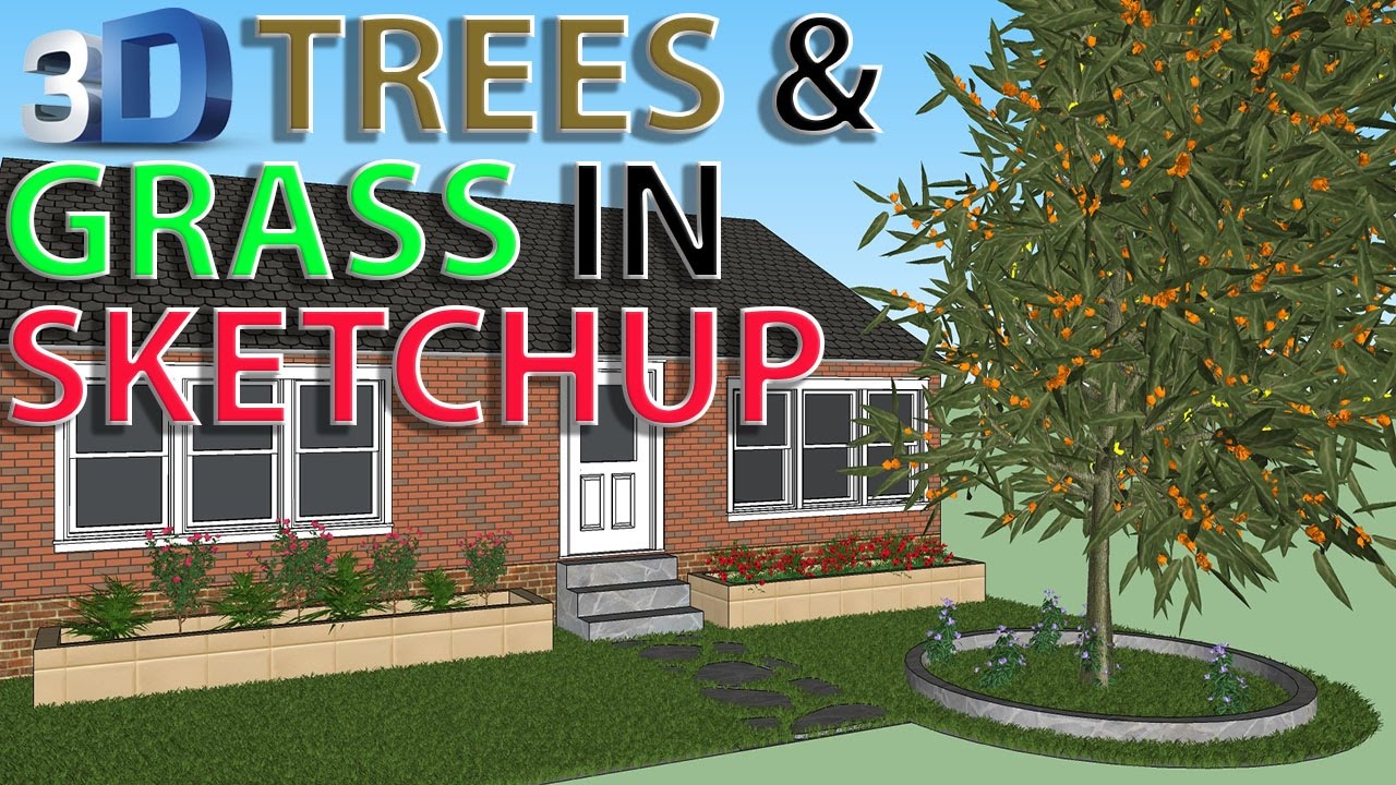 Trees and Grass In SketchUp