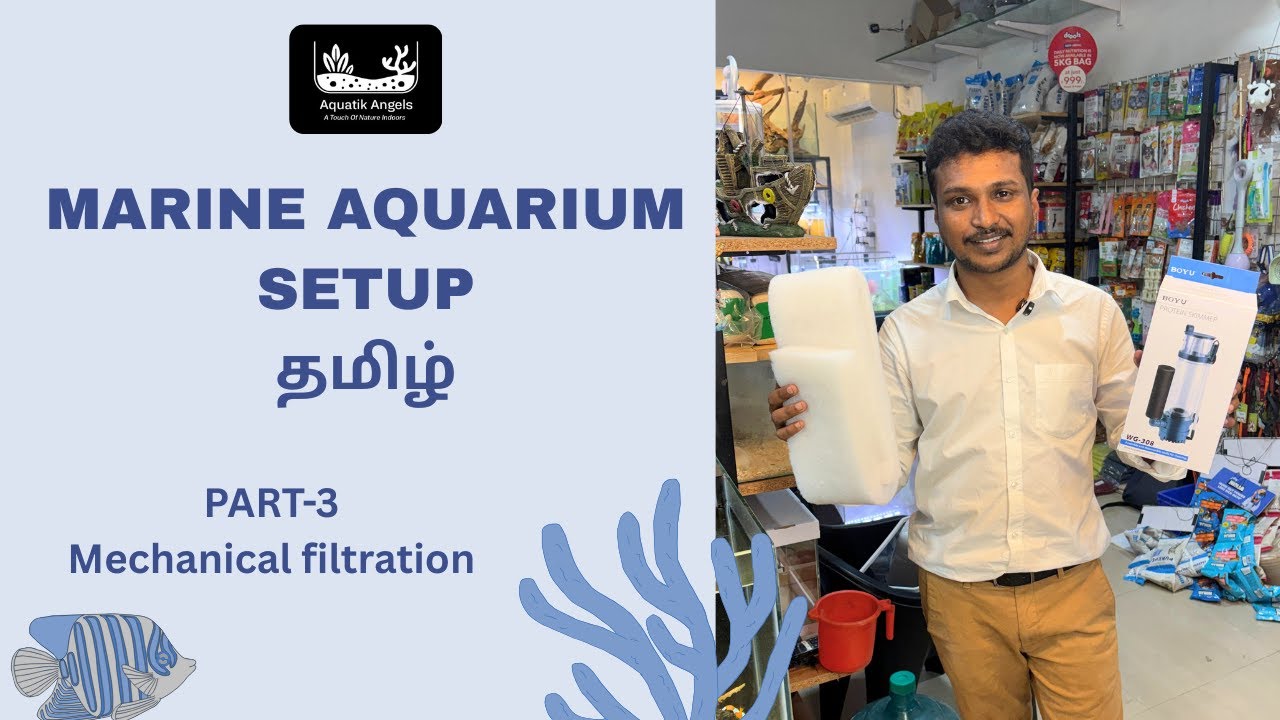 Marine Tank Setup Part 3 | Mechanical Filtration Explained in Tamil | Floss, Sponge, Socks, Skimmer