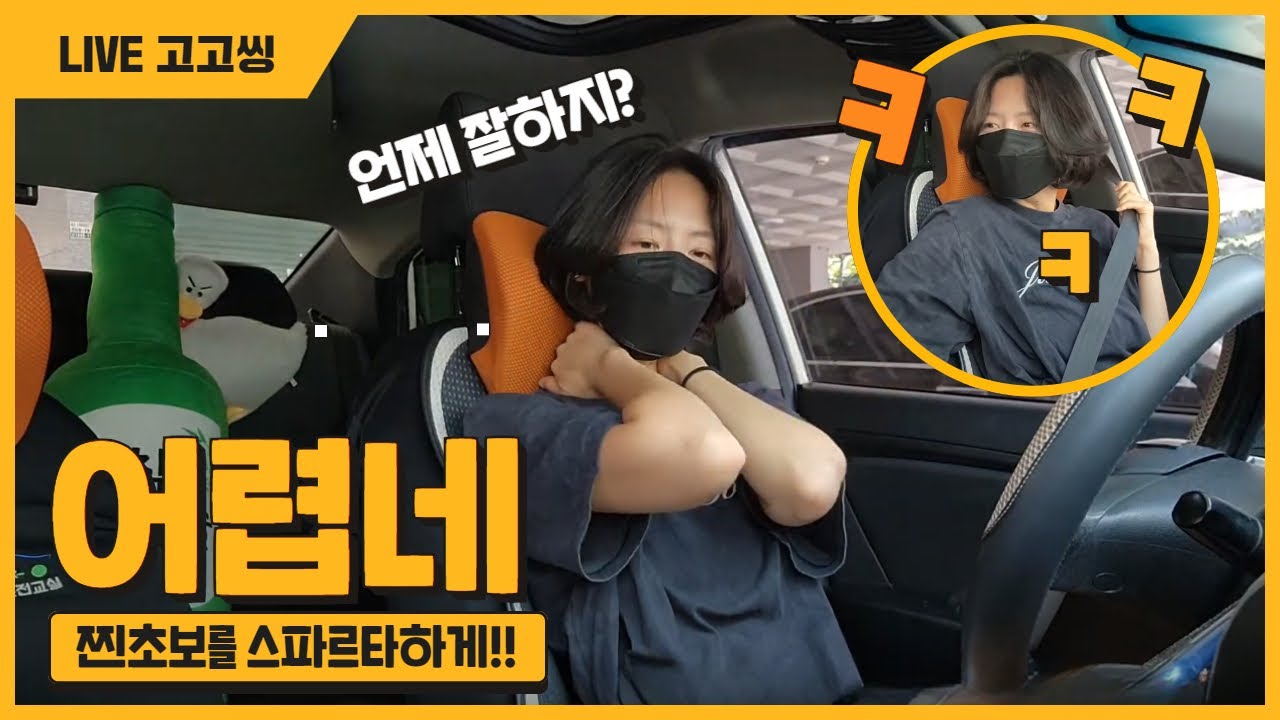 [라이브 고고씽] ♥ 찐초보가 잘하네? 그럼 스파르타하게 가자!!!