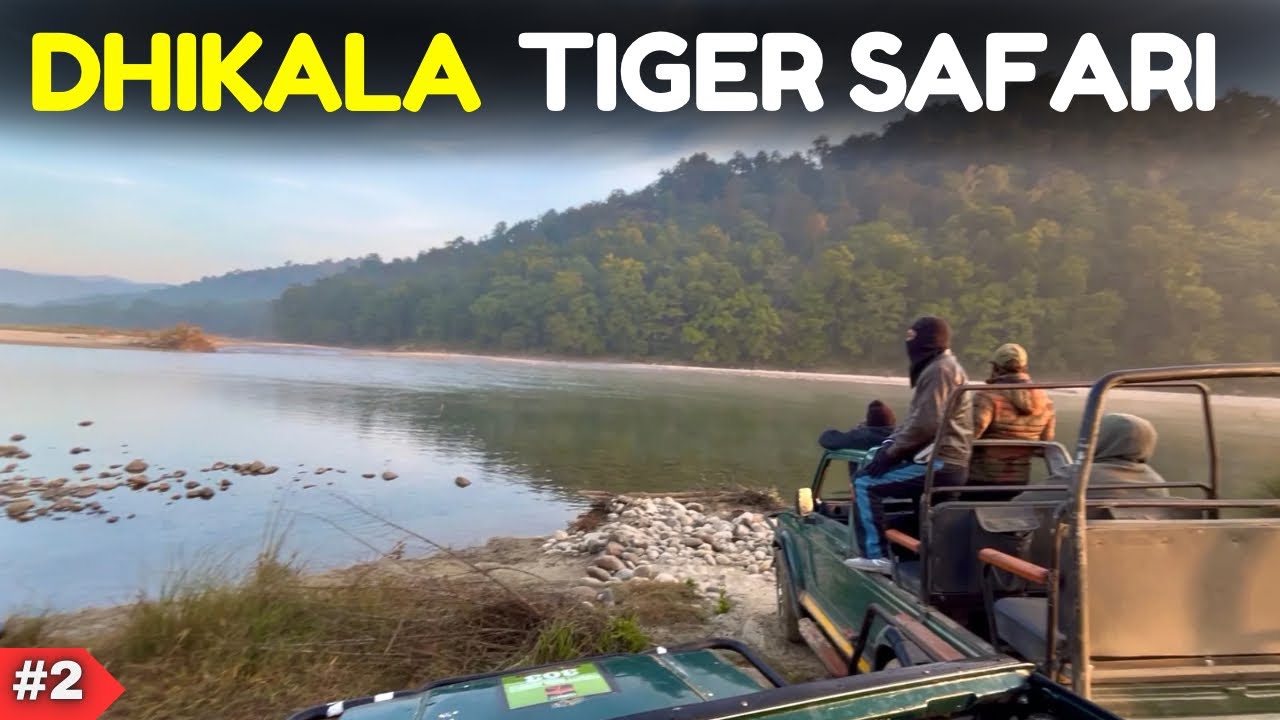 Dhikala Zone Tiger Safari | Jim Corbett National Park | Dhikala Tiger Attack | Dhikala Safari | Ep02